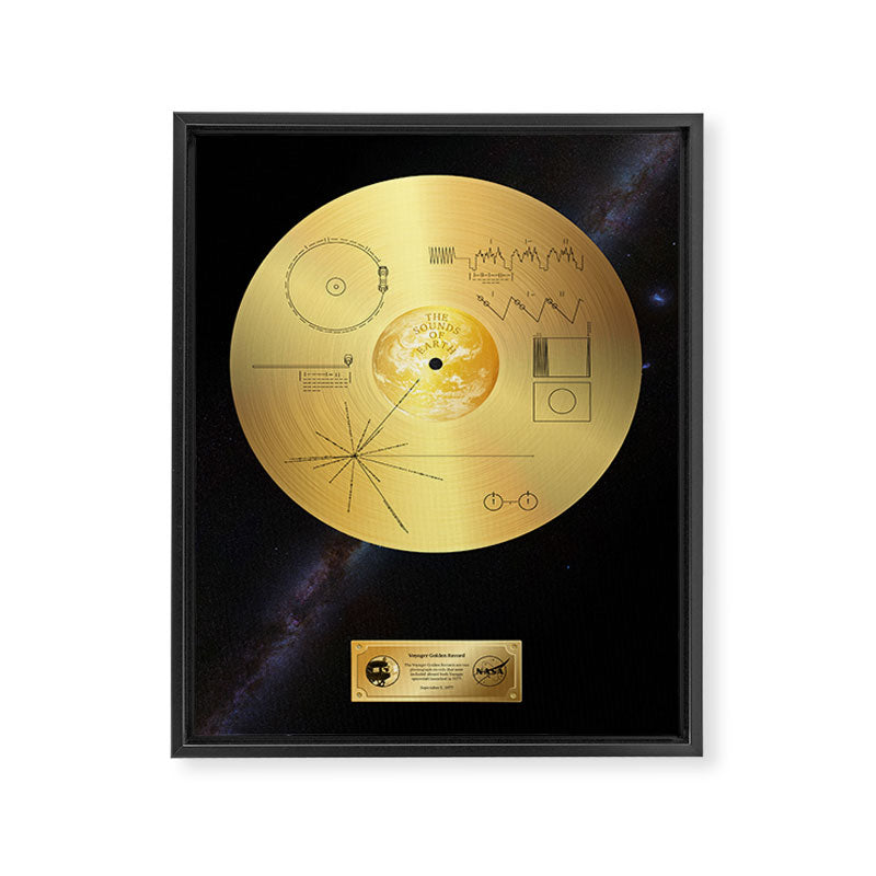 Voyager 1 Golden Record #1 Framed Canvas Print Gallery Image 6