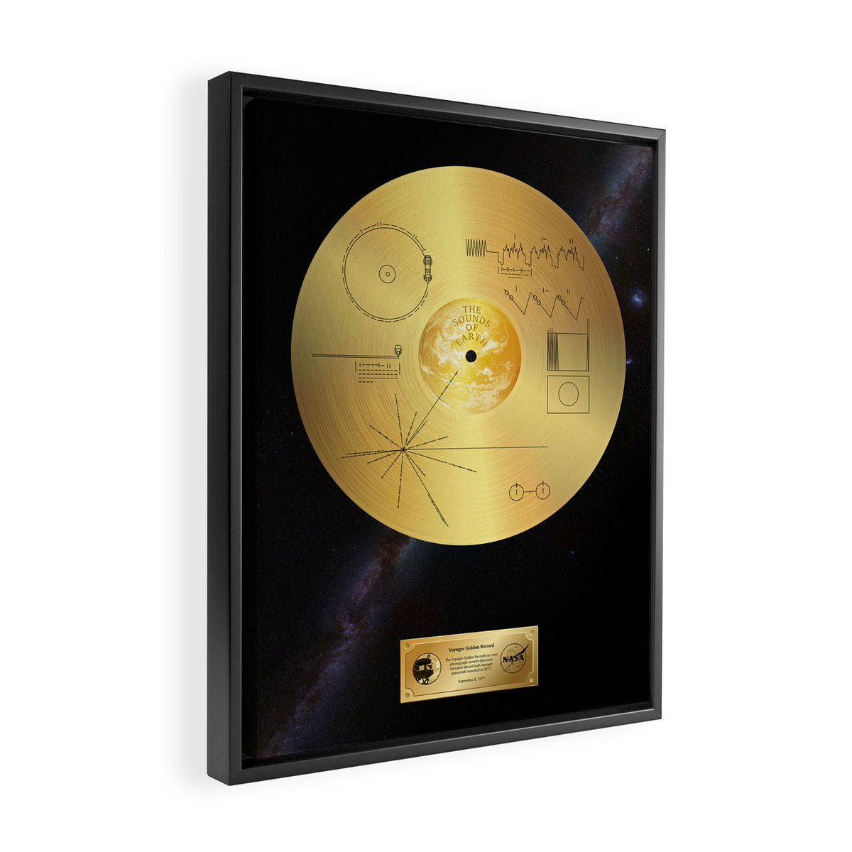 Voyager 1 Golden Record #1 Framed Canvas Print Gallery Image 2