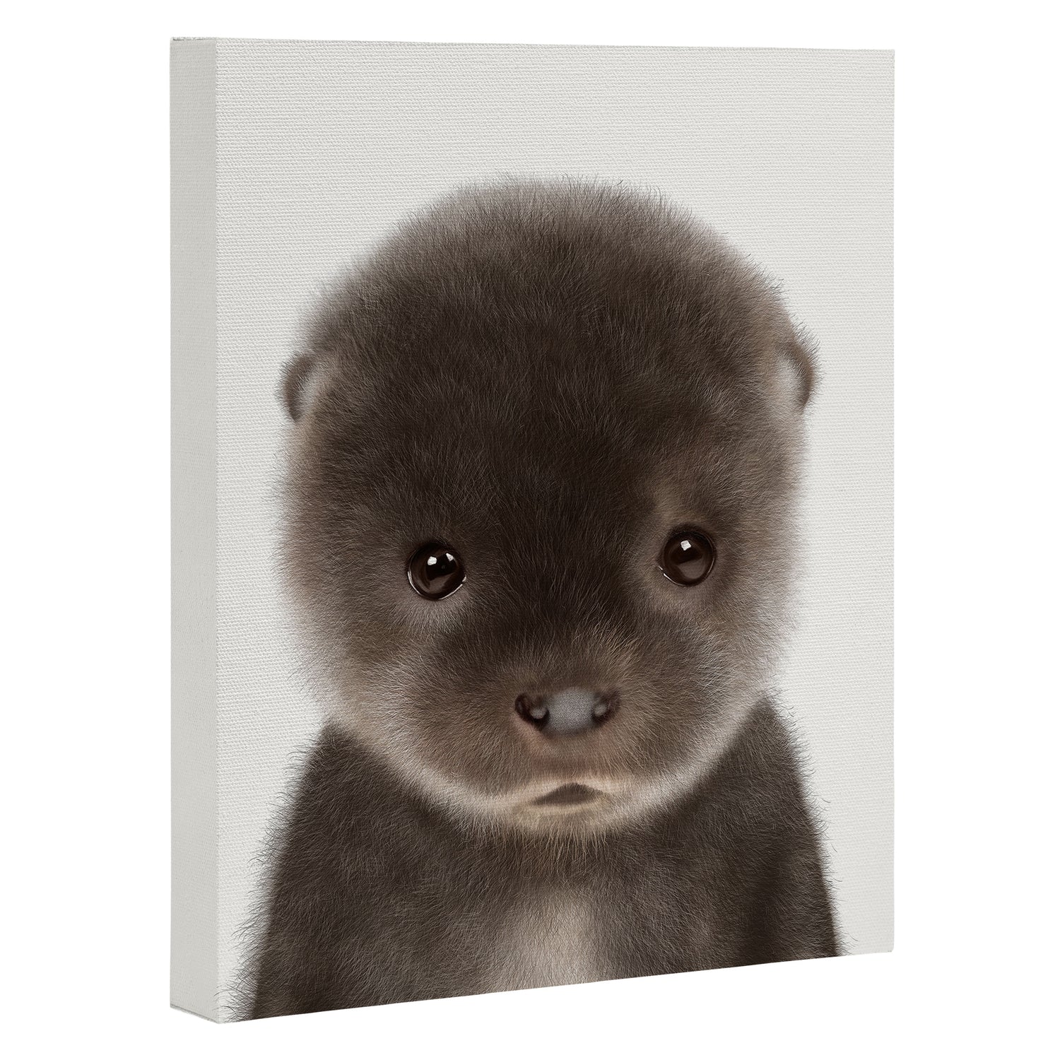 Baby Otter Canvas Print Gallery Image 3