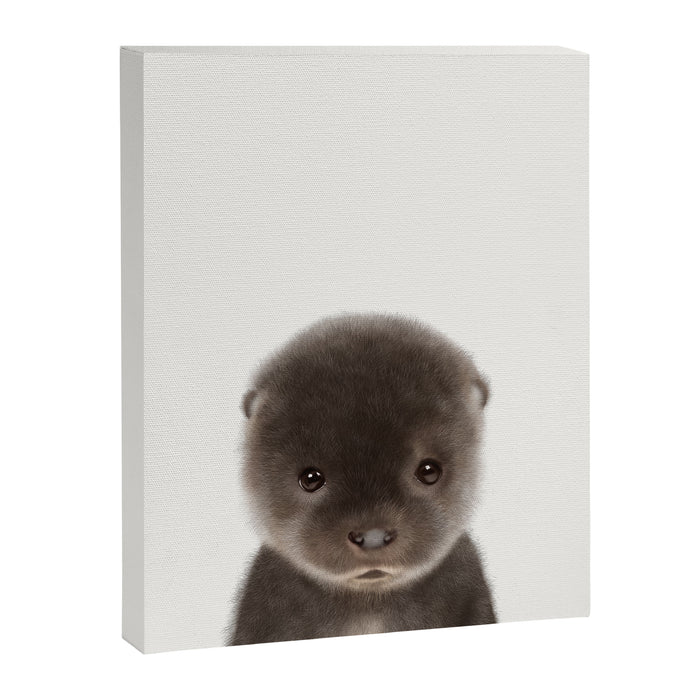 Baby Otter Canvas Print Gallery Image 1