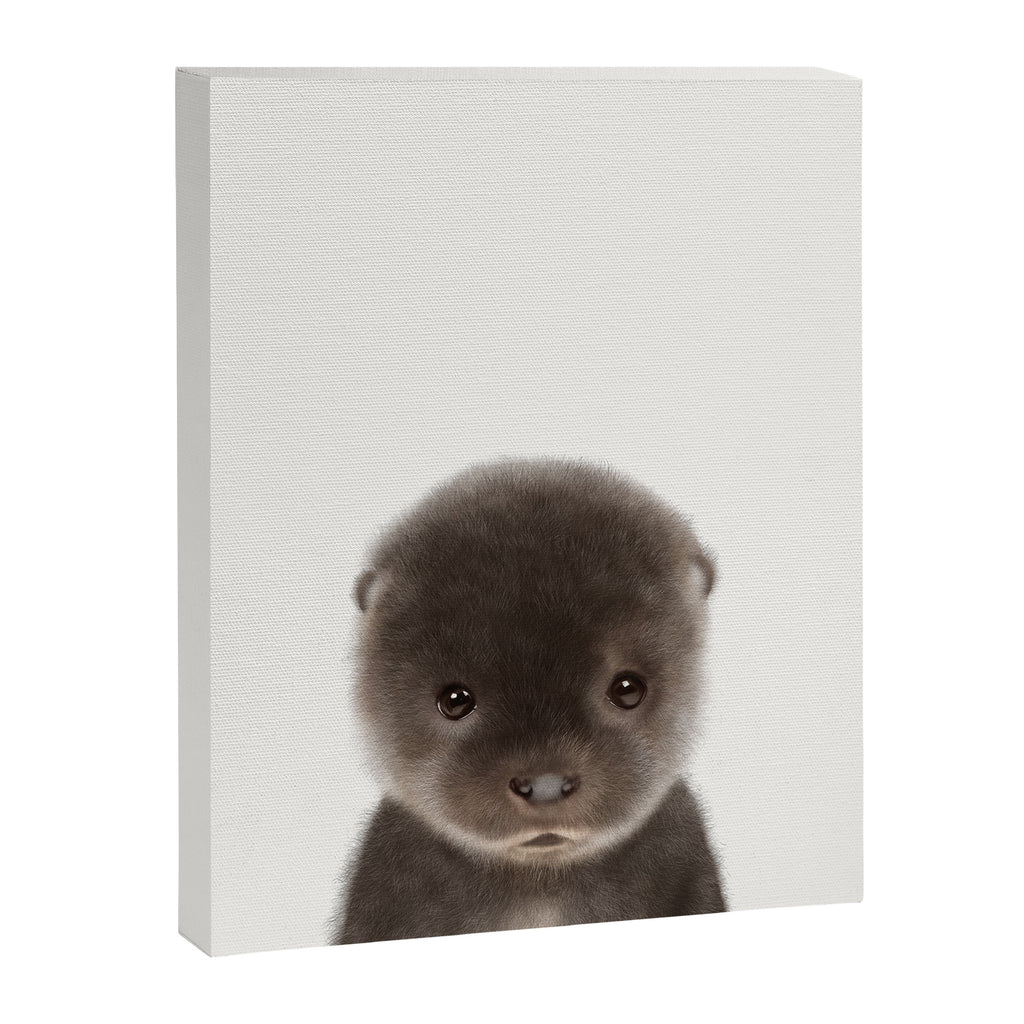 Baby Otter Canvas Print Gallery Image 8
