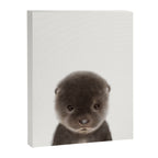 Baby Otter Canvas Print Gallery Image 8