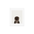 Baby Otter Art Print Gallery Image 1