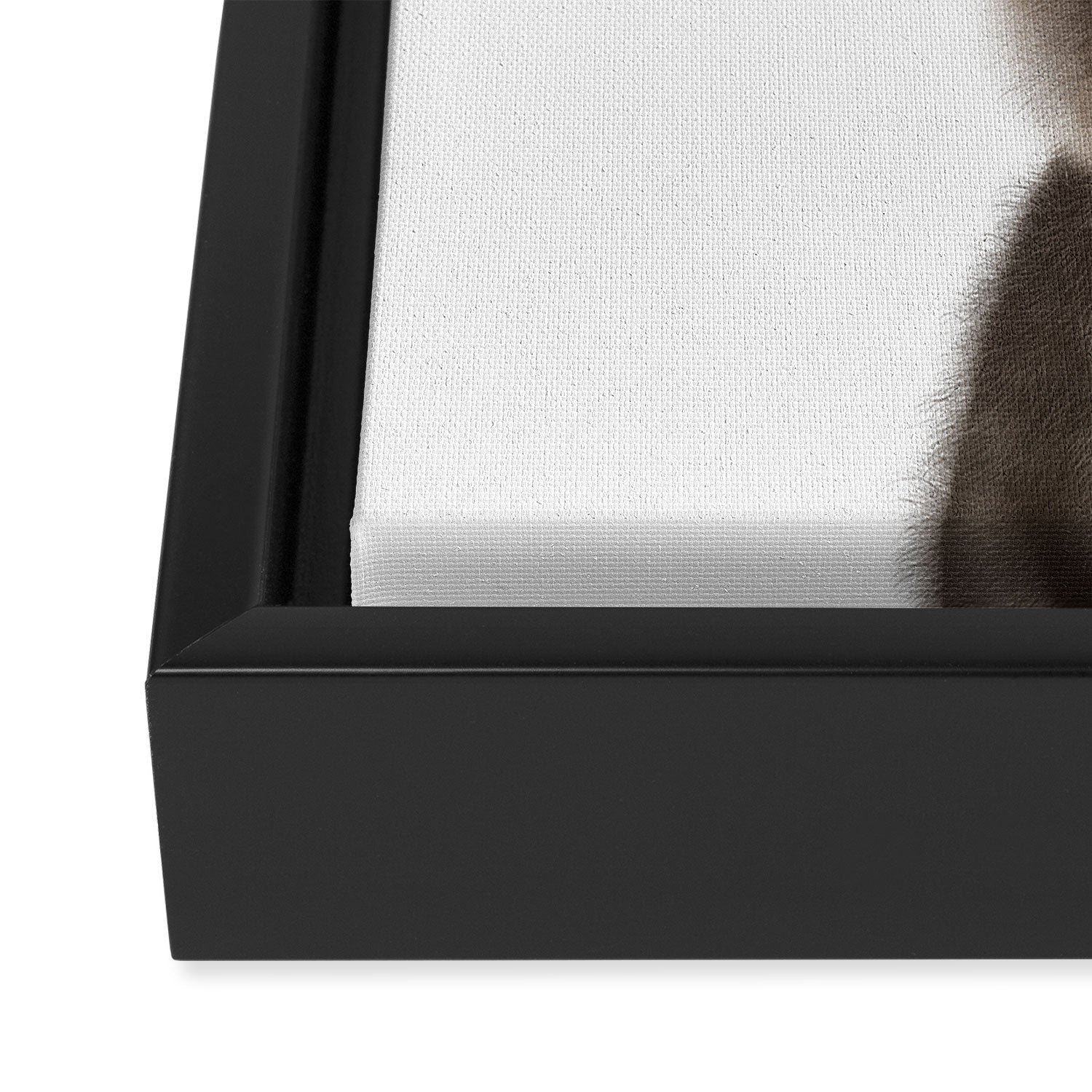 Baby Otter Framed Canvas Print Gallery Image 2
