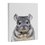 Chinchilla Canvas Print Gallery Image 6