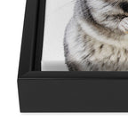 Chinchilla Framed Canvas Print Gallery Image 3