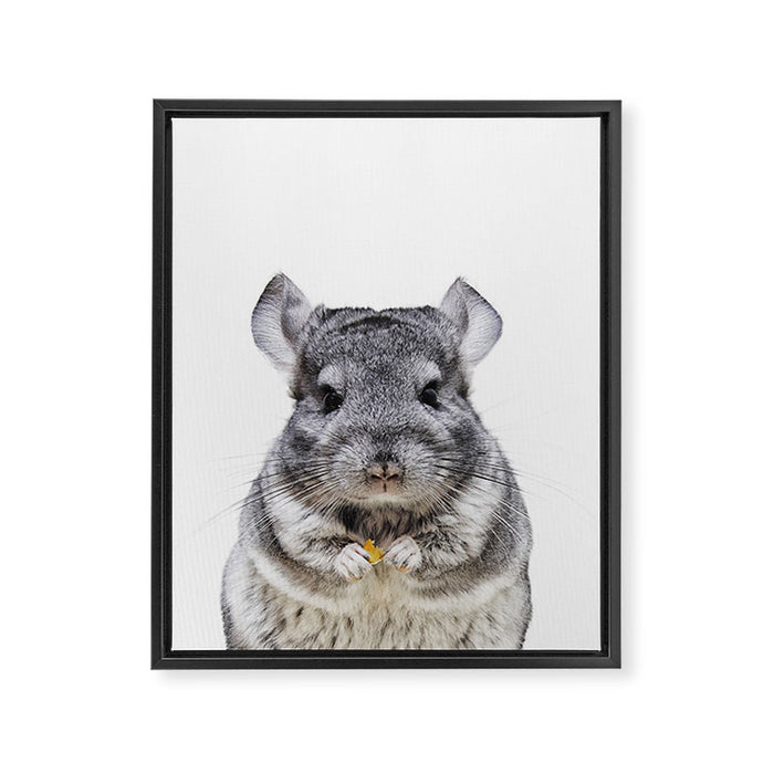 Chinchilla Framed Canvas Print Gallery Image 1