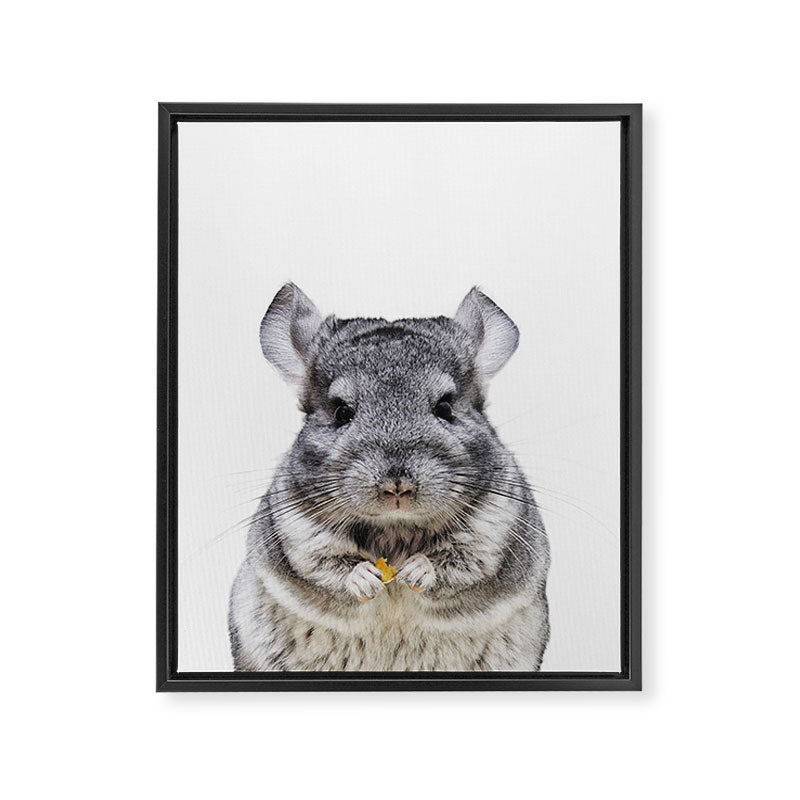 Chinchilla Framed Canvas Print Gallery Image 6