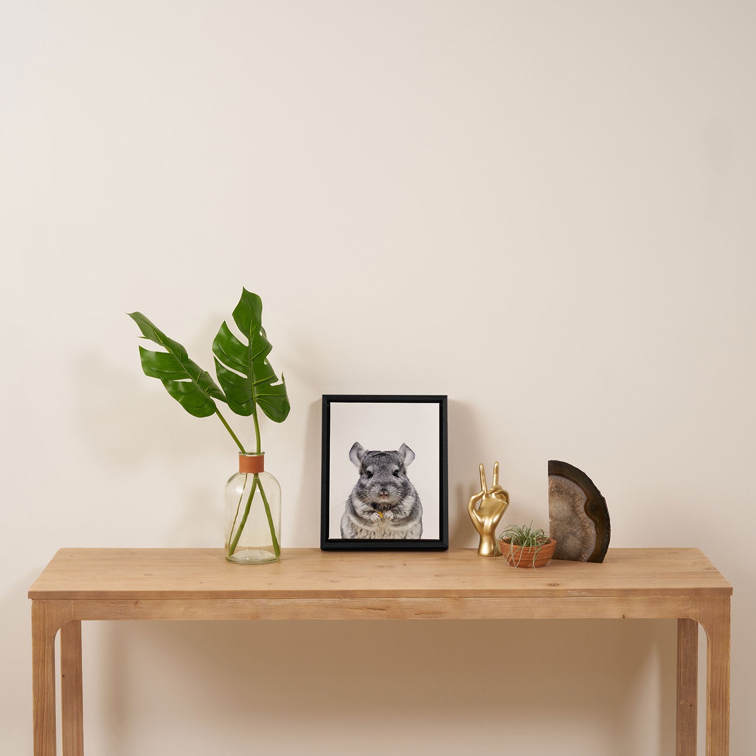 Chinchilla Framed Canvas Print Gallery Image 4