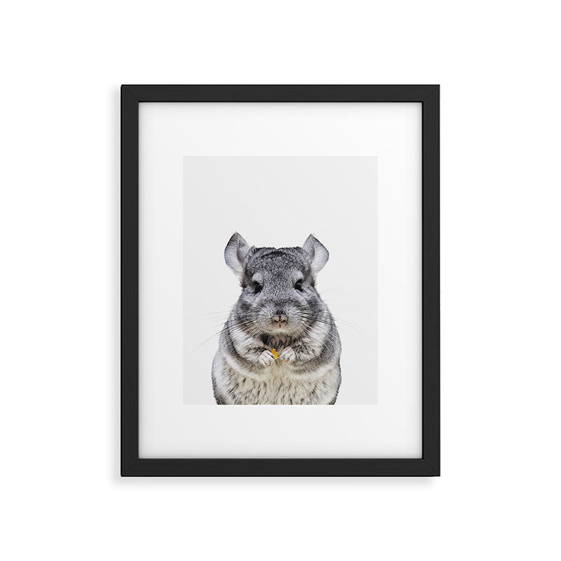 Chinchilla Framed Art Print Gallery Image 5