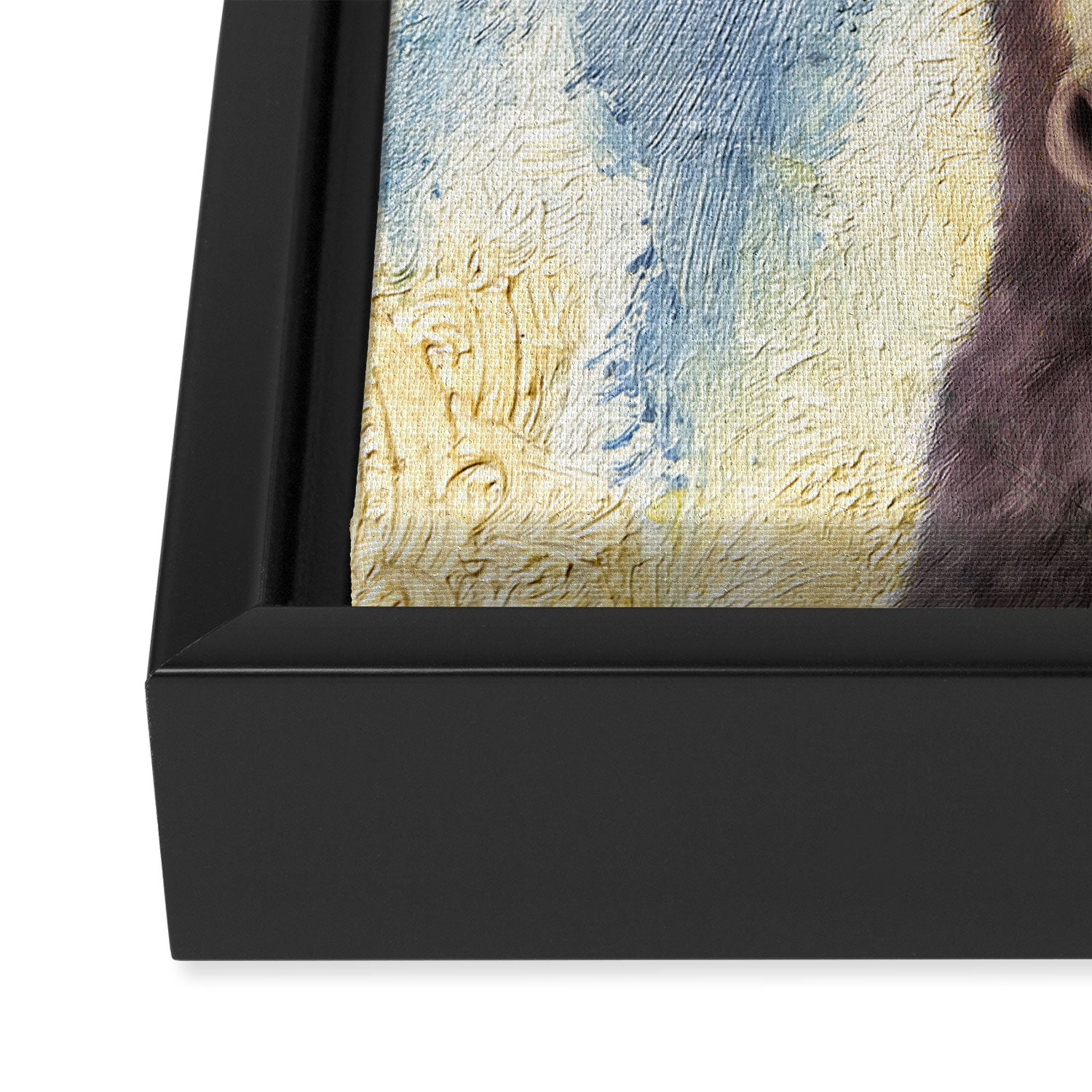 Donkey Framed Canvas Print Gallery Image 3