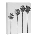 Four Palm Trees Canvas Print Gallery Image 6