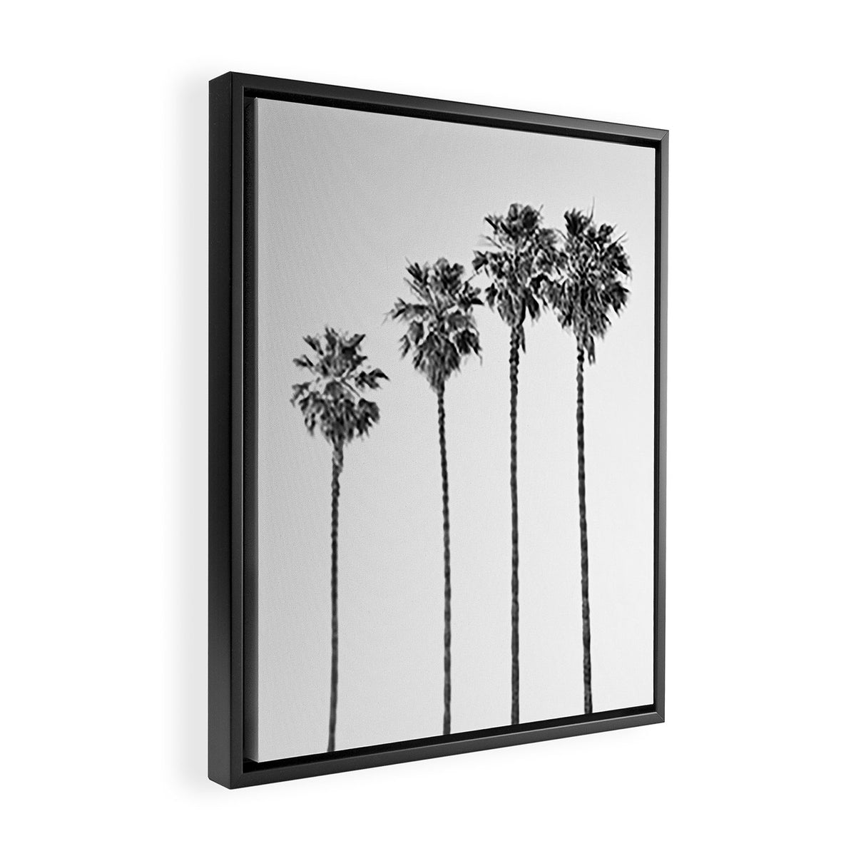 Four Palm Trees Framed Canvas Print Gallery Image 2