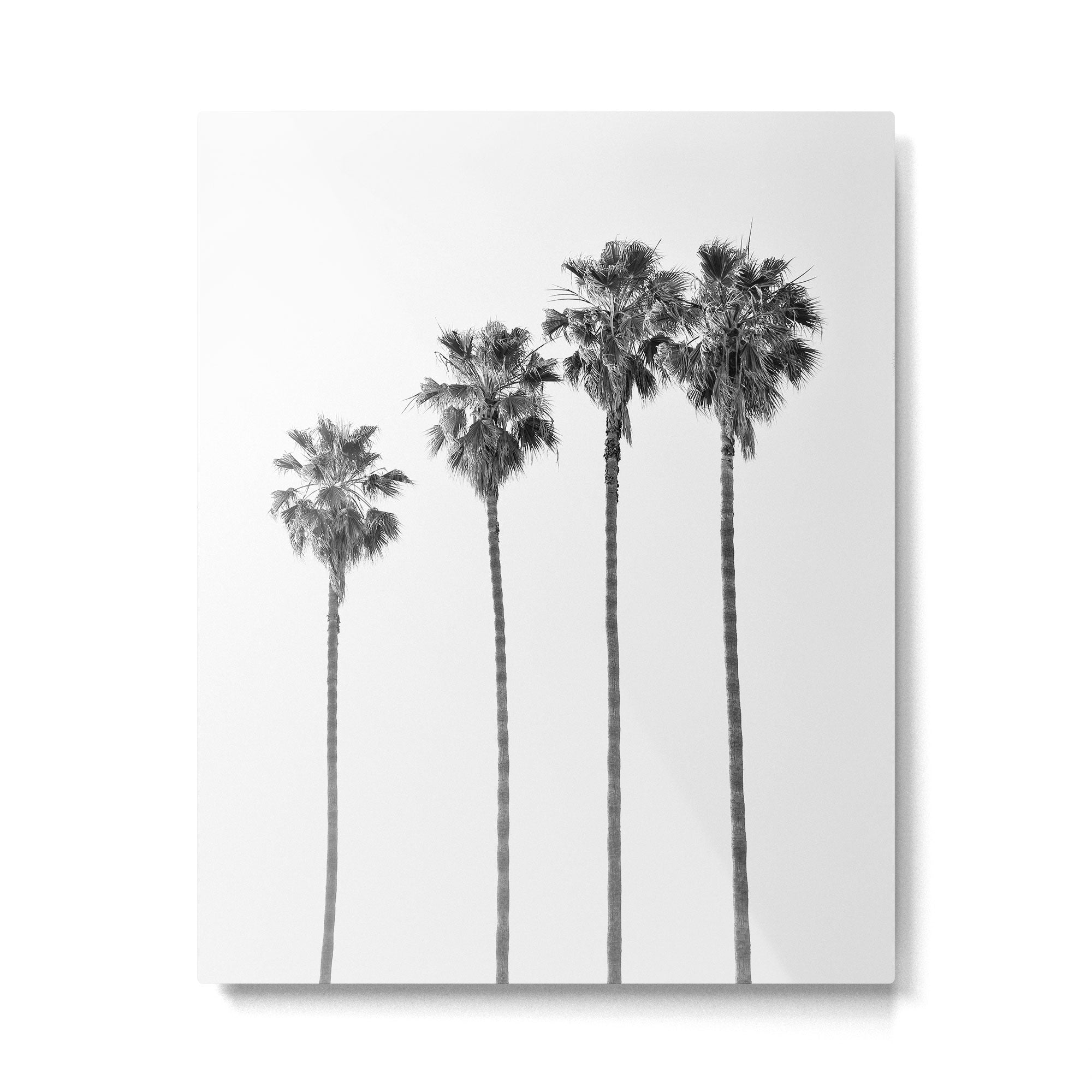 Four Palm Trees Metal Print Gallery Image 4