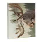 Moose Canvas Print Gallery Image 8