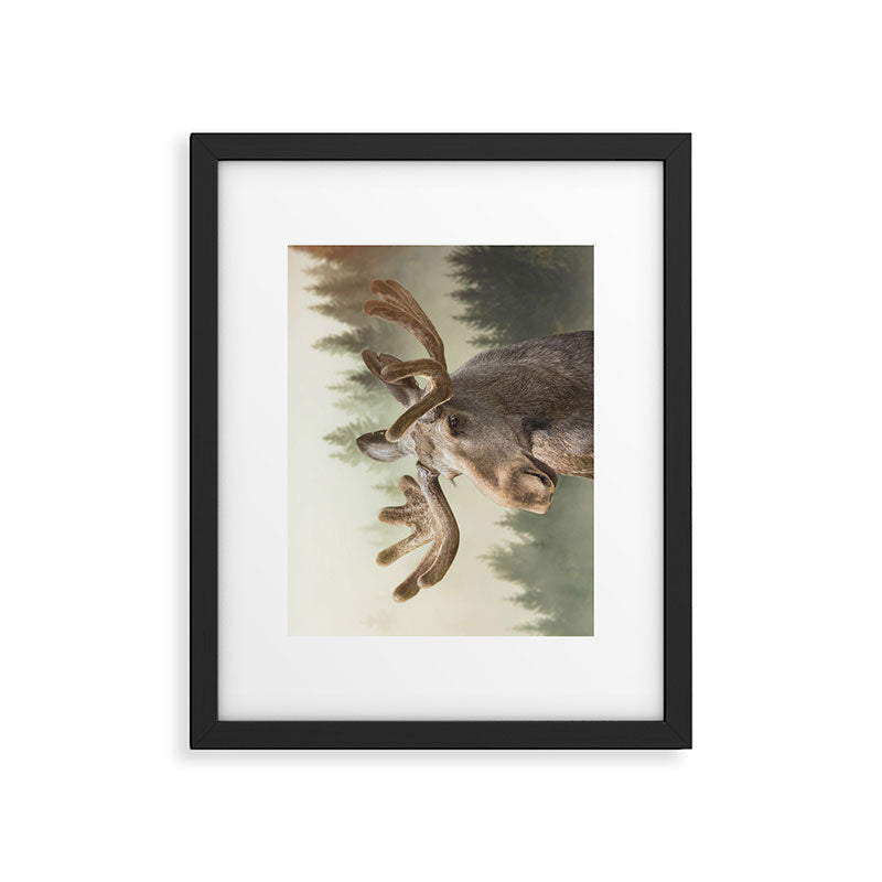 Moose Framed Art Print Gallery Image 6