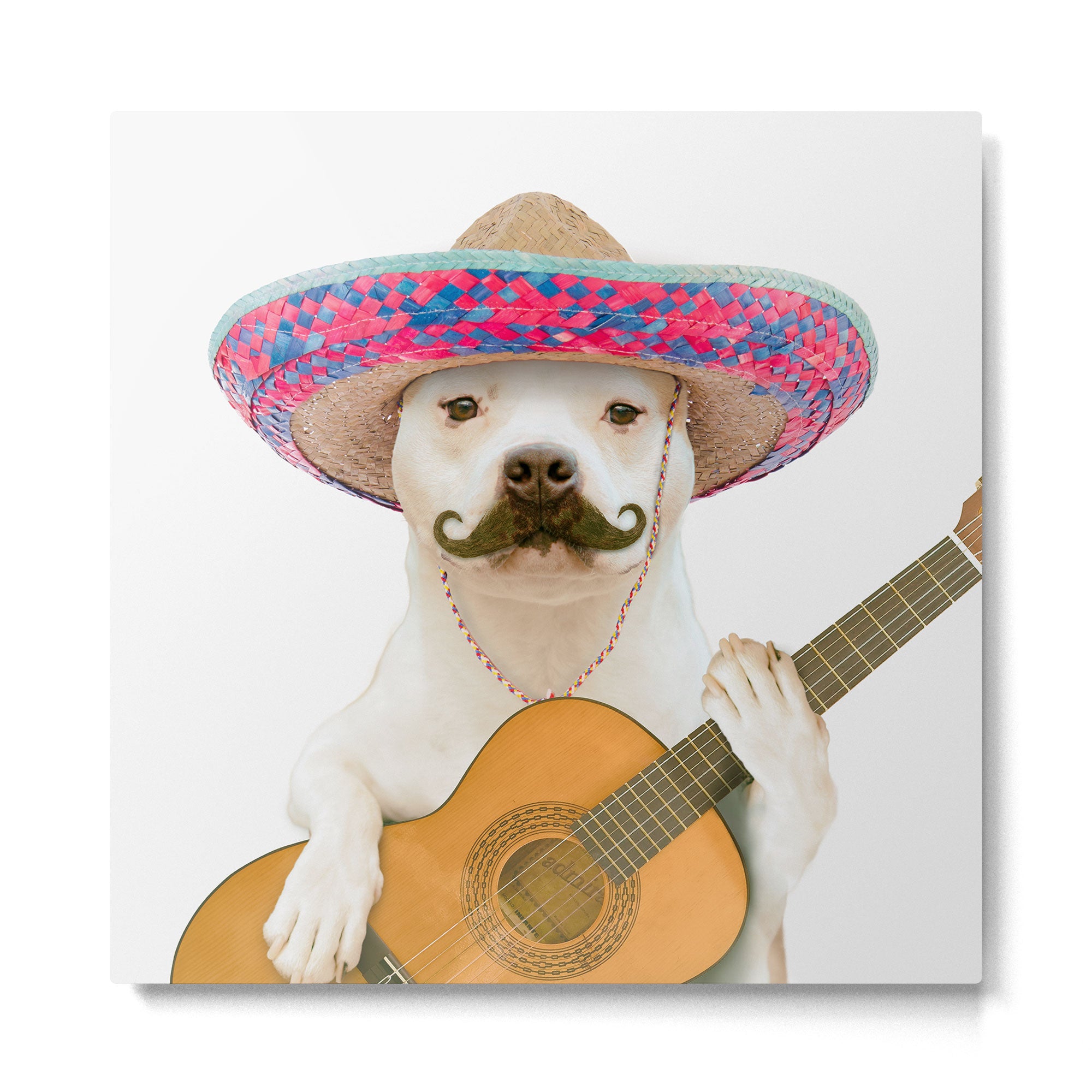 TITO PANCHITO Metal Print Gallery Image 2