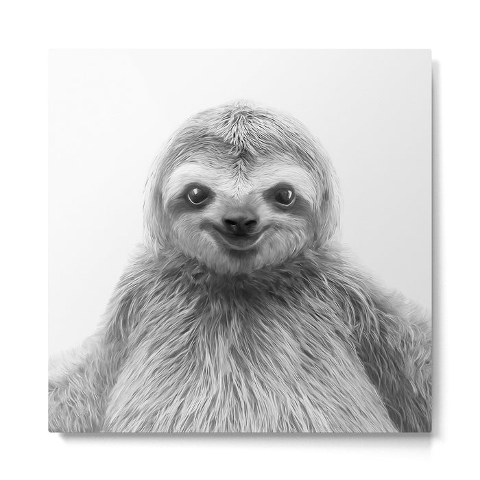 Young Sloth Metal Print Gallery Image 1