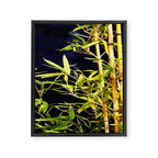 Bamboo On Black Framed Canvas Print Gallery Image 8