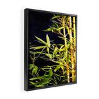 Bamboo On Black Framed Canvas Print Gallery Image 2