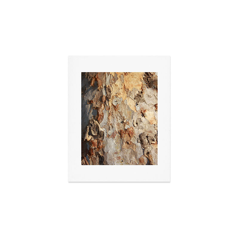Eucalyptus Tree Peeling Bark Abstract Art Print Gallery Image 1