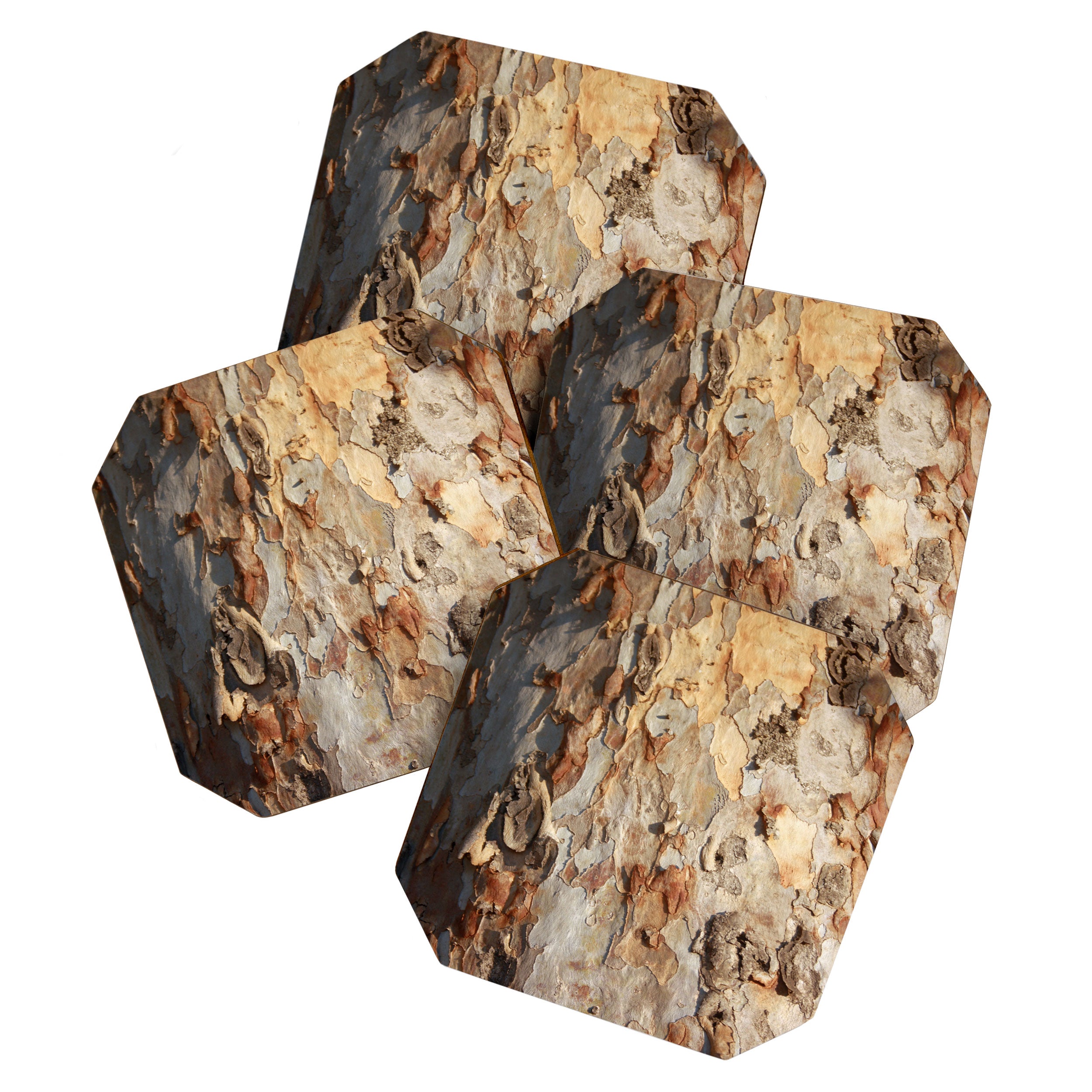 Eucalyptus Tree Peeling Bark Abstract Coaster Gallery Image 1