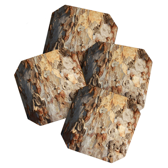 Eucalyptus Tree Peeling Bark Abstract Coaster Gallery Image 1
