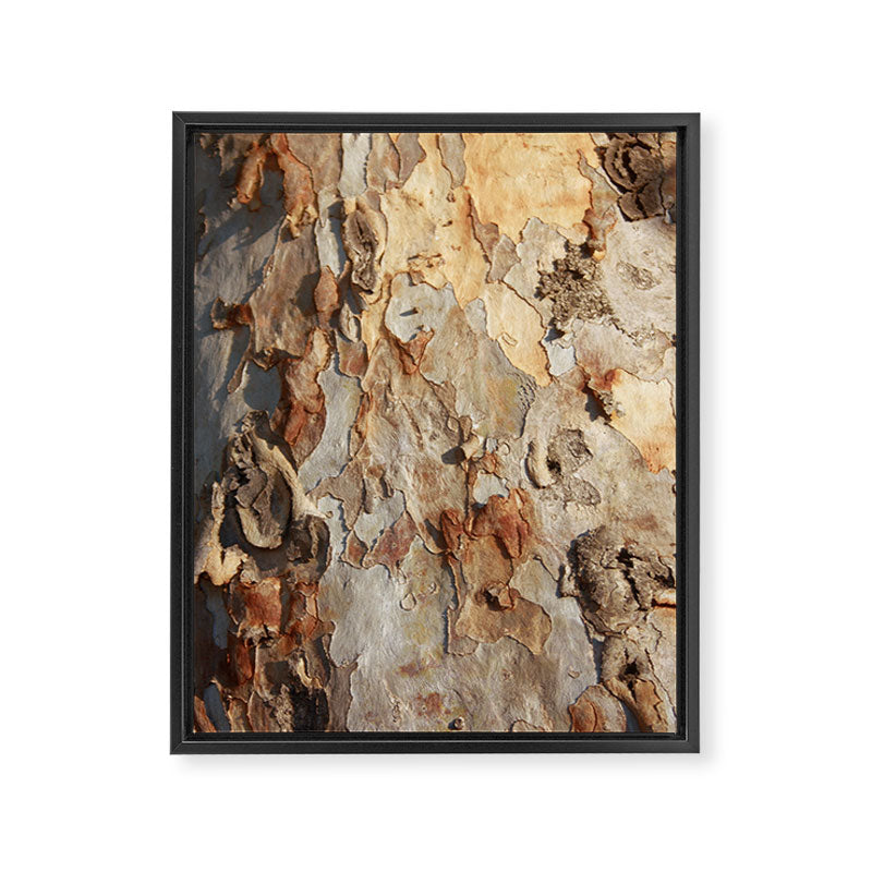 Eucalyptus Tree Peeling Bark Abstract Framed Canvas Print Gallery Image 8