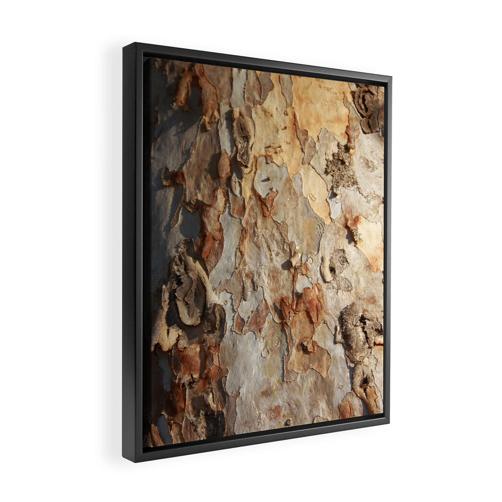 Eucalyptus Tree Peeling Bark Abstract Framed Canvas Print Gallery Image 2