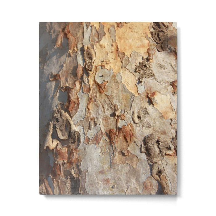 Eucalyptus Tree Peeling Bark Abstract Metal Print Gallery Image 1