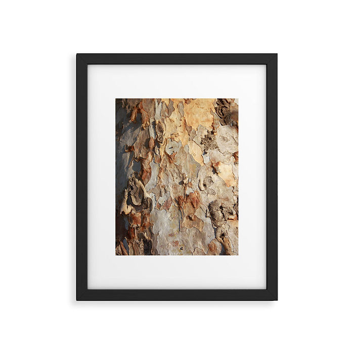 Eucalyptus Tree Peeling Bark Abstract Framed Art Print Gallery Image 1