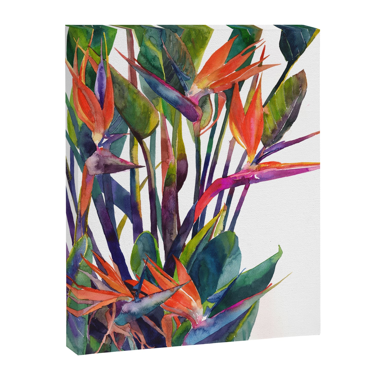 The bird of paradise Canvas Print Gallery Image 6