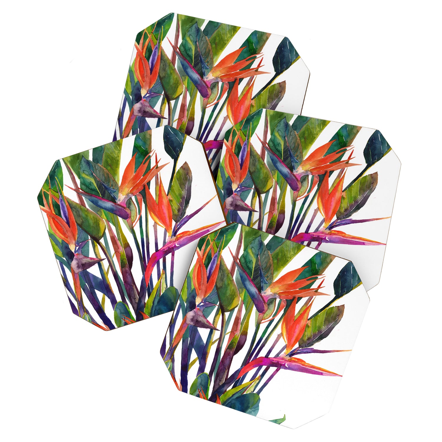 The bird of paradise Coaster Gallery Image 1