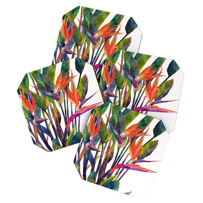 The bird of paradise Coaster Gallery Image 1