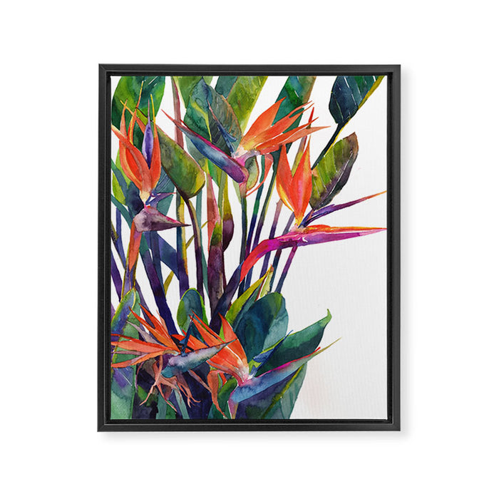 The bird of paradise Framed Canvas Print Gallery Image 1