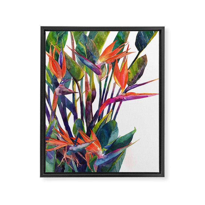 The bird of paradise Framed Canvas Print Gallery Image 6