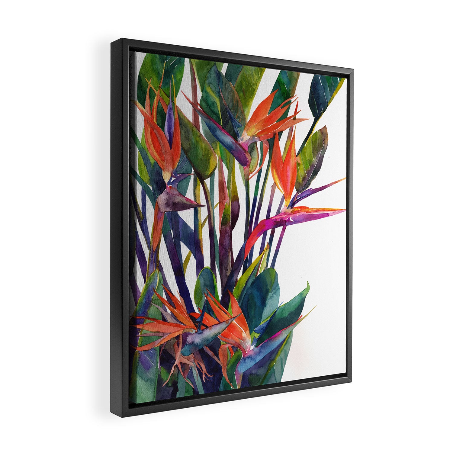 The bird of paradise Framed Canvas Print Gallery Image 2