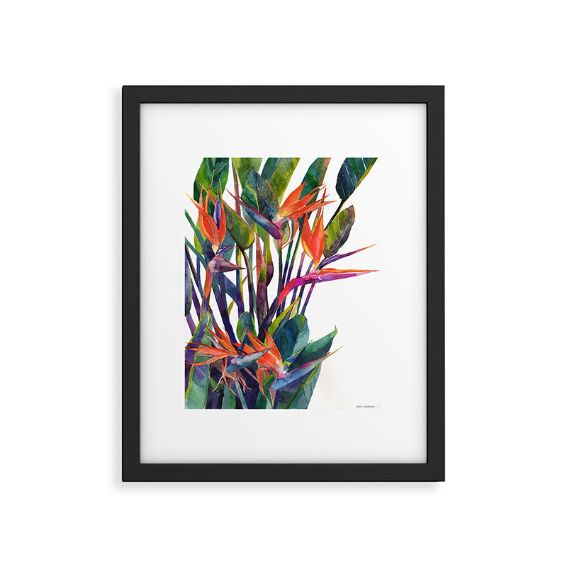 The bird of paradise Framed Art Print Gallery Image 5