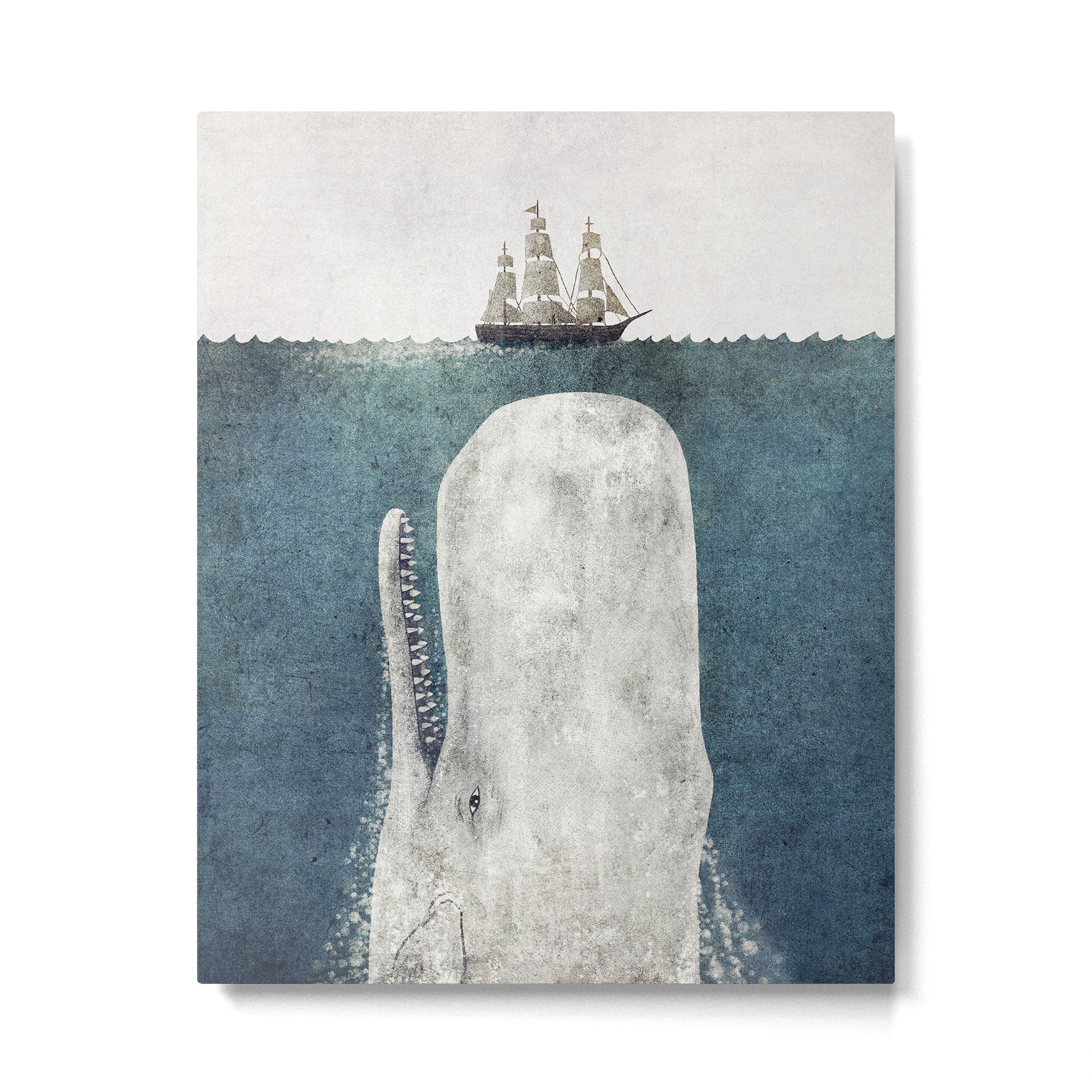 The White Whale Metal Print Gallery Image 6