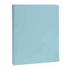 Light Blue Canvas Print Gallery Image 8