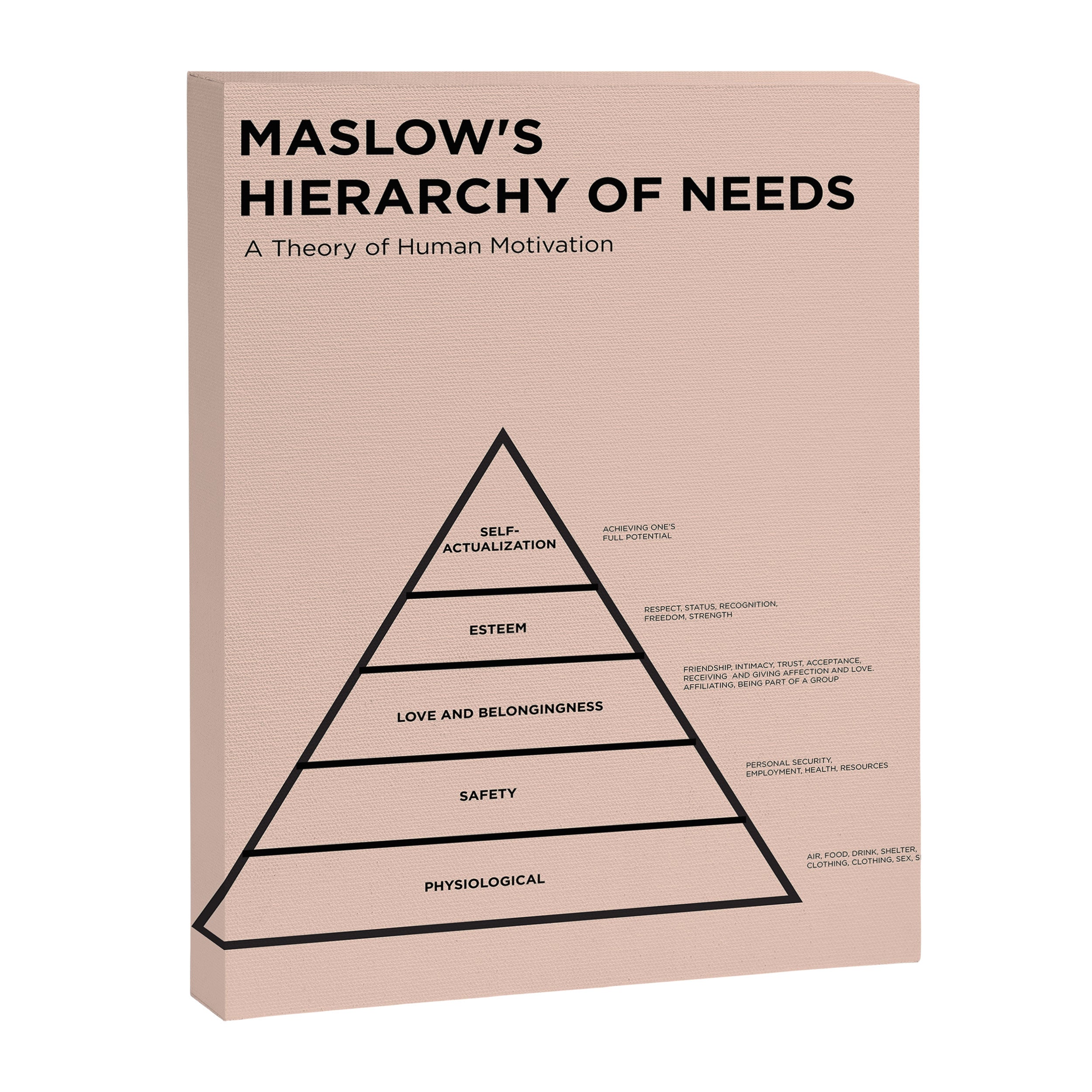 Maslow's  Hierarchy of Needs Canvas Print Gallery Image 6