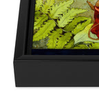 Toad Council Framed Canvas Print Gallery Image 3