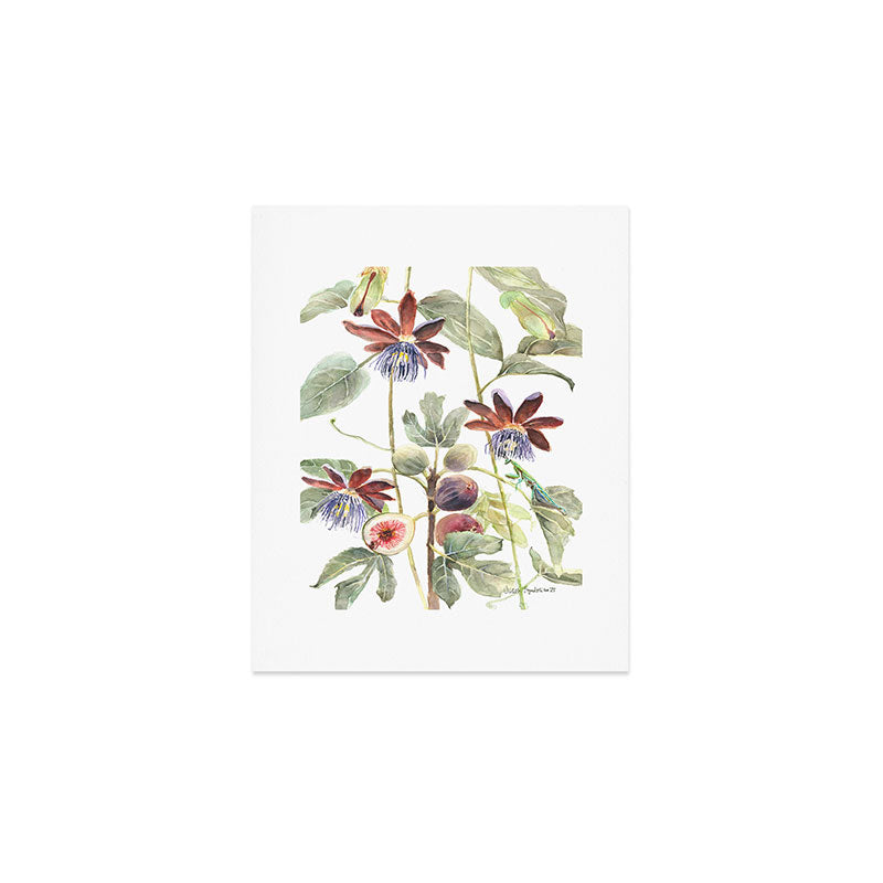Passiflora and Figs Botanical Illustration, Praying Mantis Art Print Gallery Image 1