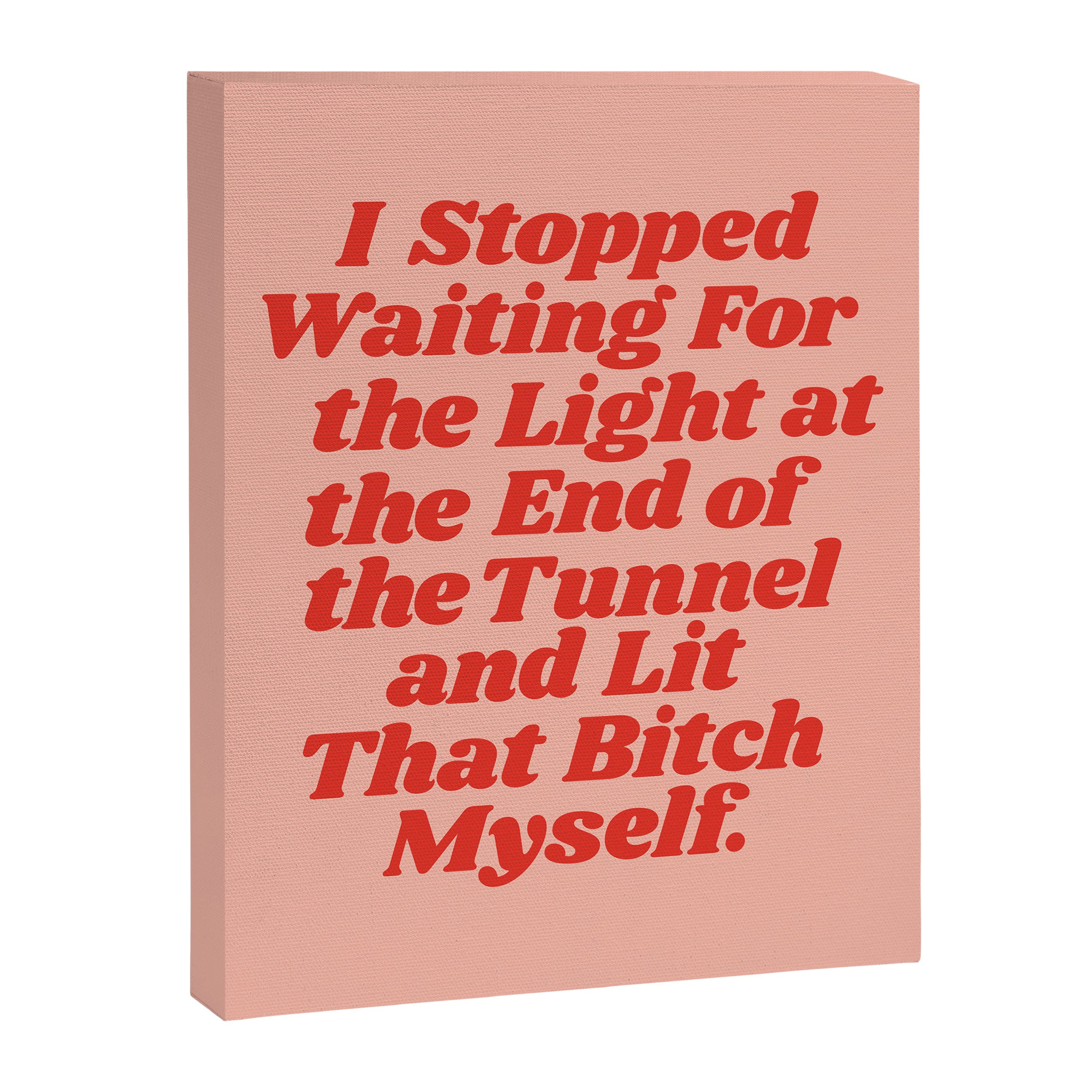 I Stopped Waiting for the Light at the End of the Tunnel and Lit that Bitch Myself Canvas Print Gallery Image 8