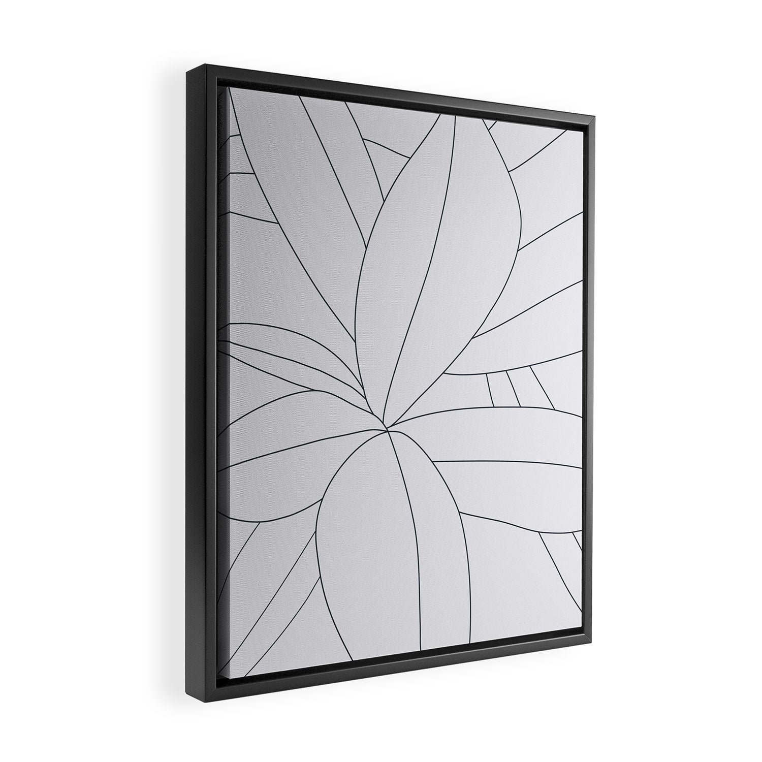 Flora Illustration 01 Framed Canvas Print Gallery Image 2