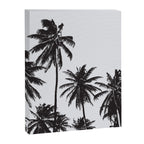Palm 05 Canvas Print Gallery Image 8