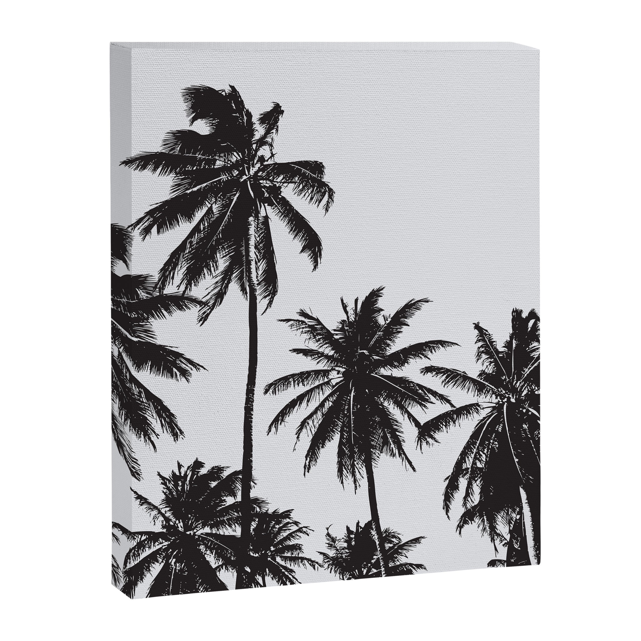 Palm 05 Canvas Print Gallery Image 8