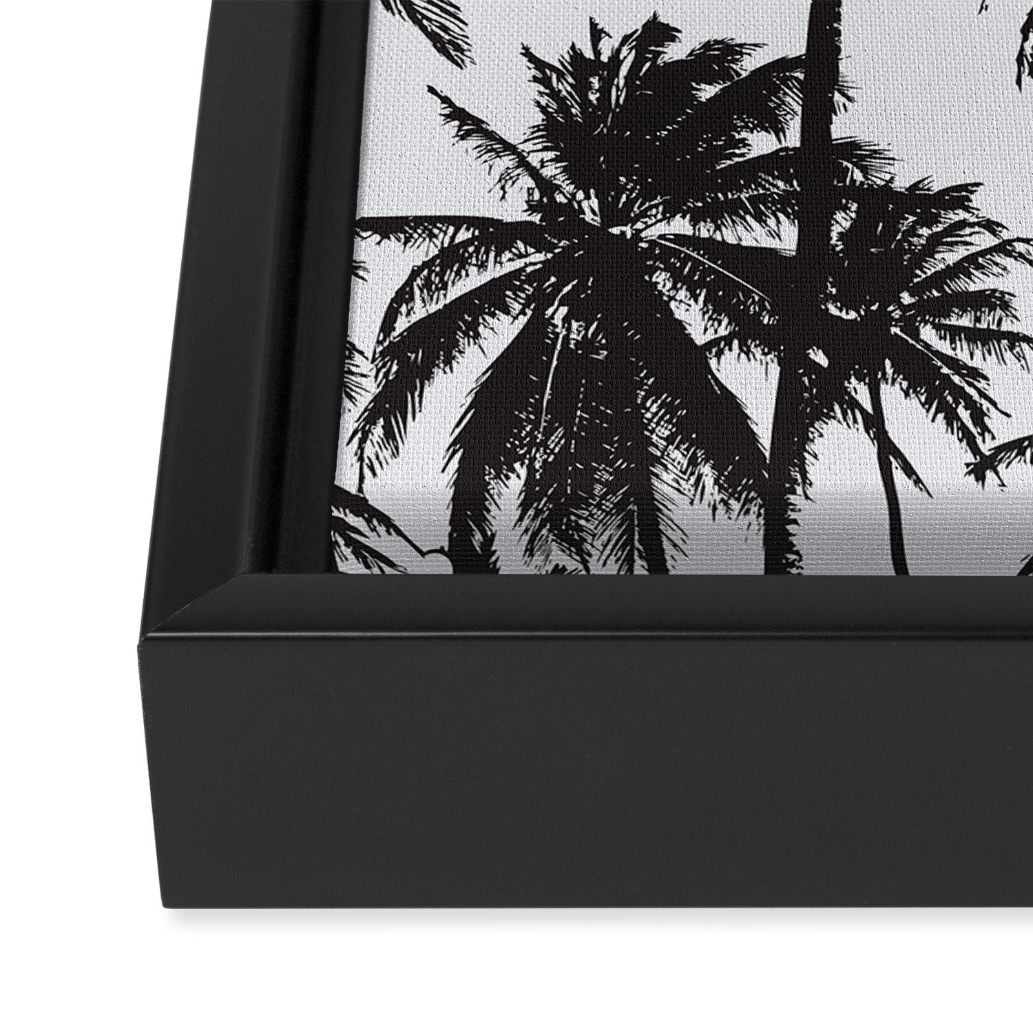 Palm 05 Framed Canvas Print Gallery Image 3