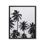 Palm 05 Framed Canvas Print Gallery Image 8