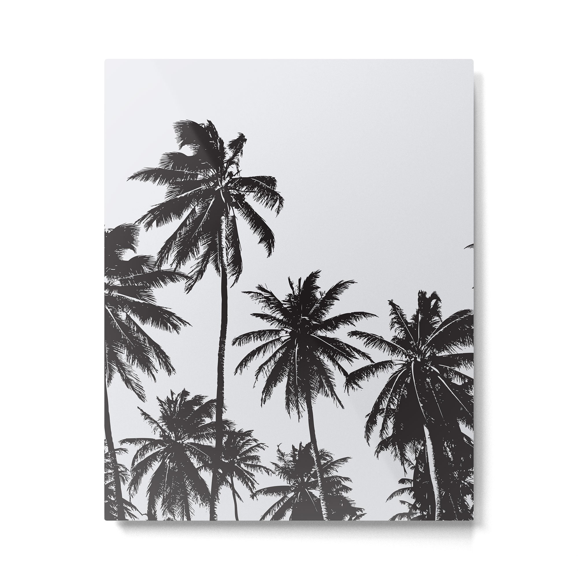 Palm 05 Metal Print Gallery Image 6